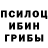 Псилоцибиновые грибы Psilocybe 123456789romo hitko