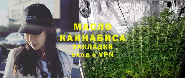 Альфа ПВП Пересвет
