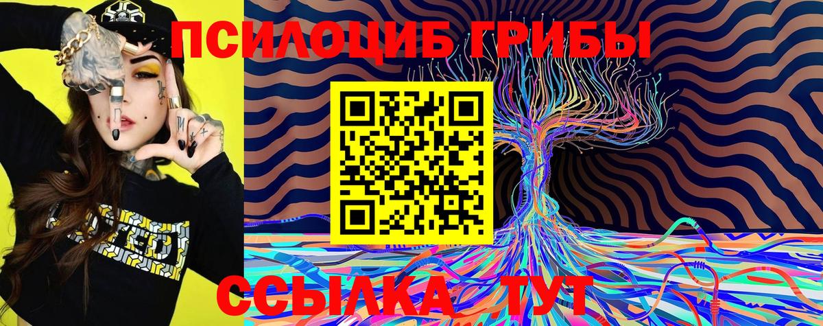 Галлюциногенные грибы Psilocybe  Вход с VPN  Майский 